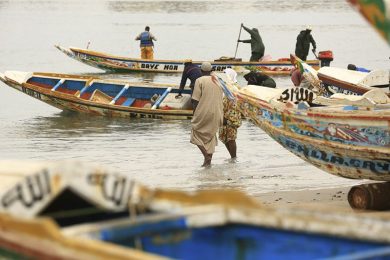 Senegal Dakar Divers