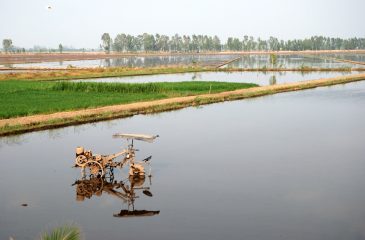 Tractor_Mekong_Delta_Vietnam