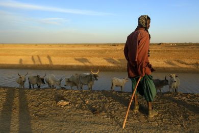 Le fleuve Sénégal