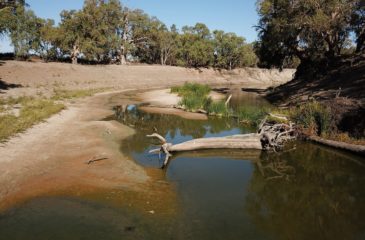 Murray Darling River