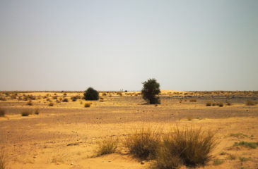 Sahel