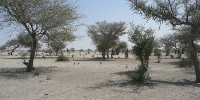 sahara-sahel-climat-secheresse