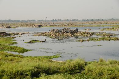 Stressed-Mahanadi-at-Sambalpur ccPriya Ranjan Sahu