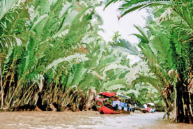 embarcations dans le delta du Mékong