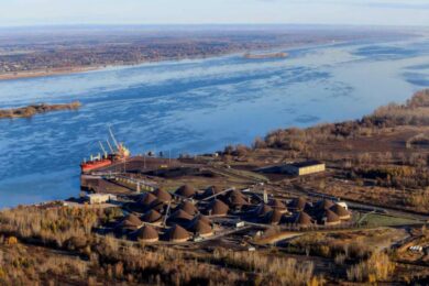 MONTREAL_hirondelle_contrecoeur