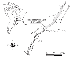 PassepoissonsPORTOPRIMAVERA3