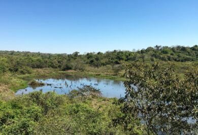 trilha-do-poco-preto-iguacu-1-7