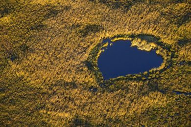 France, Bouches du Rhone (13), parc naturel regional de Camargue, Arles, Marais de Meyranne (vue aerienne)