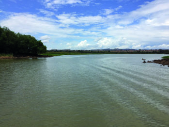 Nil Bleu à la sortie du lac Tana