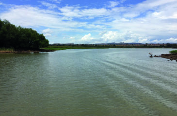 Nil Bleu à la sortie du lac Tana