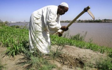 SUDAN-ETHIOPIA-EGYPT-ENVIRONMENT-DAM-NILE