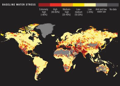 GLOBAL_BWS_map_blog copy