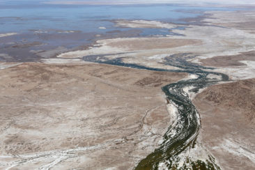 colorado river delta