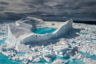last-ice-climate-change-ocean-sea-animals-arctique
