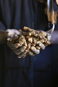 Senegal Dakar Marche