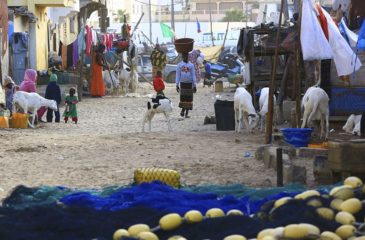 Senegal Saint Louis