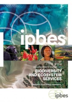 IPBES report