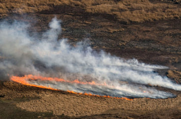 Incendies amérique du sud