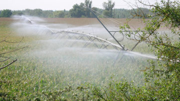 innovation_irrigation1050878369364691661