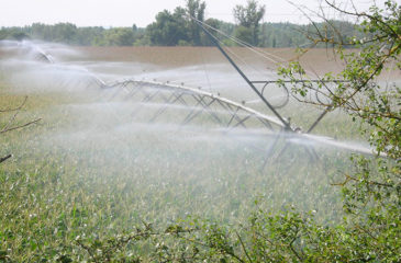 innovation_irrigation1050878369364691661