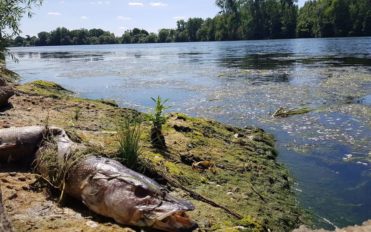 Seine pollution - le parisien