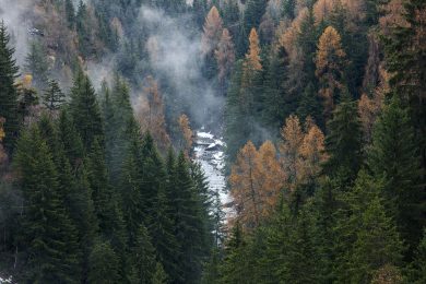 Suisse, Canton du Valais, Bellwald, depuis la passerelle entre Furgangen (Bellwald) et Muhlebach (Ernen), fleuve Rhone