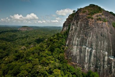 parc amazonien