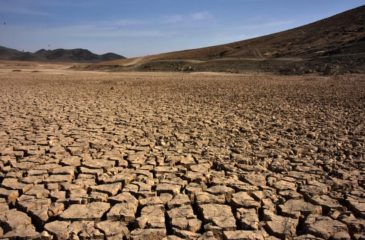 Drought Afghanistan