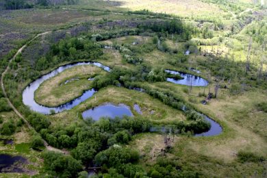 river biodiversity