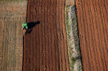 Récupération vignette 2 agriculture