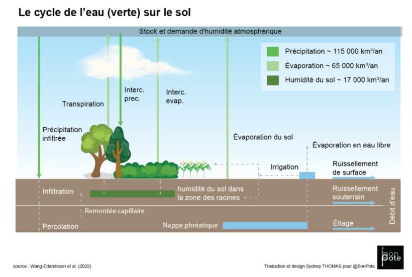 cycle-eau-verte-1024x689