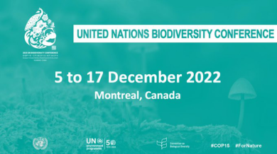 cop-15-biodiversite-montreal