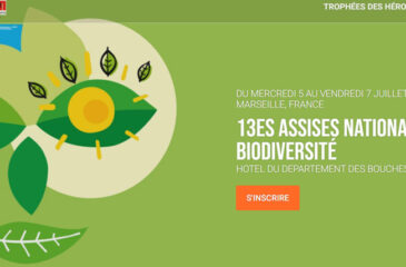 Assises