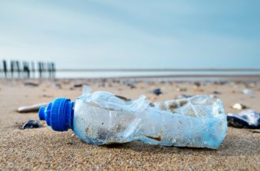 pollution plastique