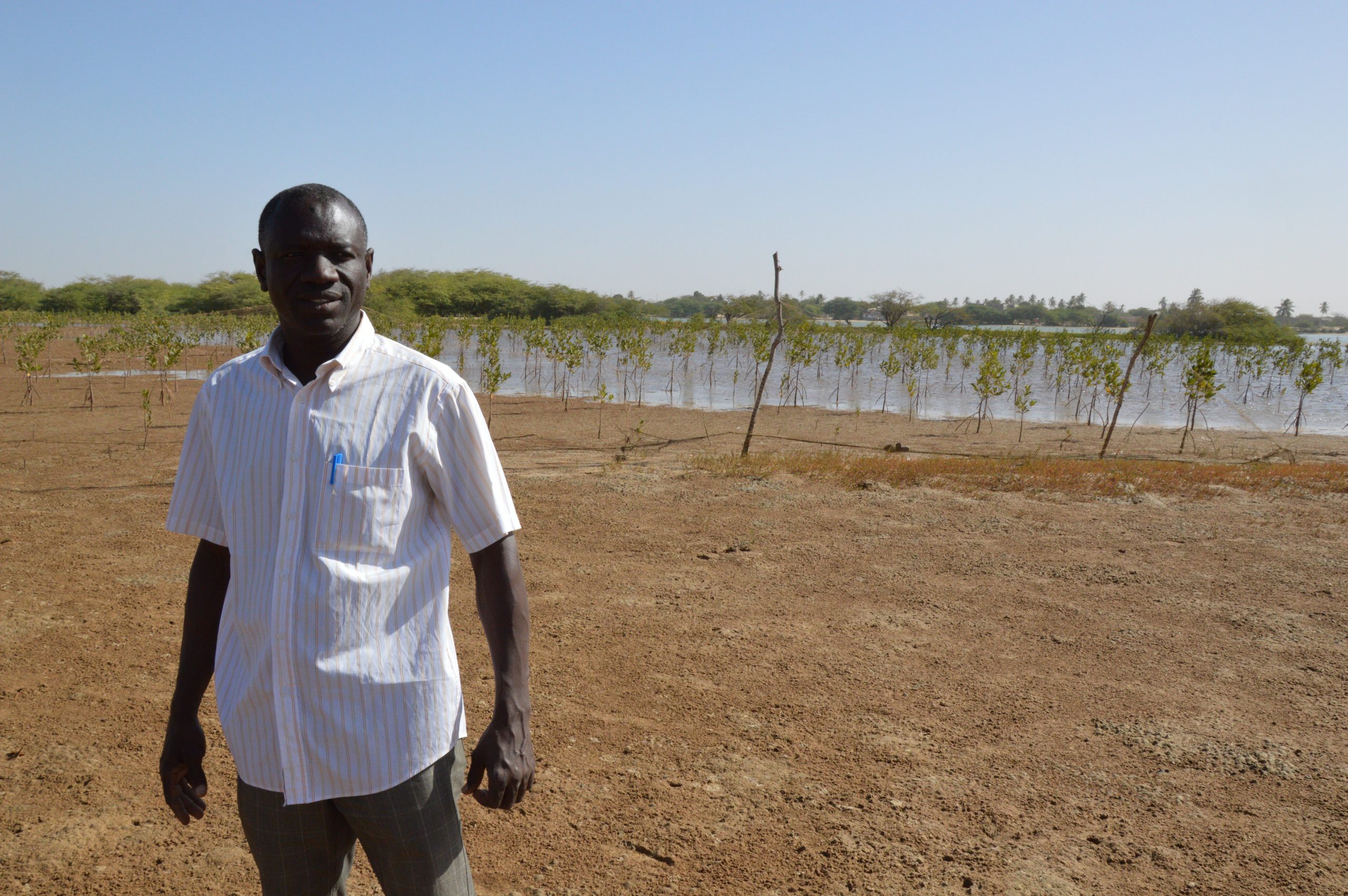 Sustainable management of the Senegal Delta ecosystems Initiatives Sustainable management of the Senegal Delta ecosystems Initiatives