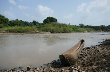 Image2