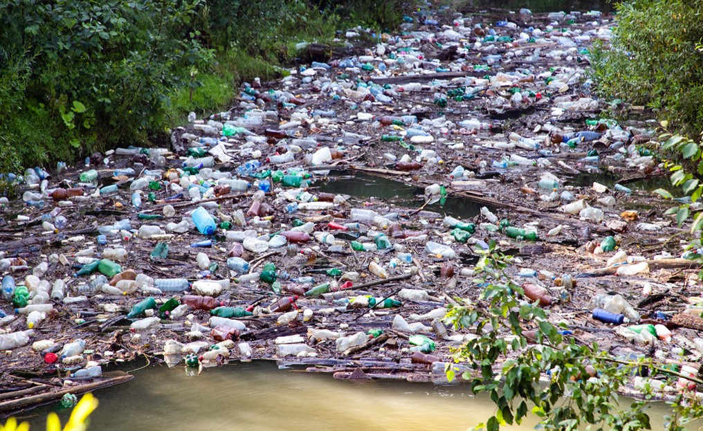 Pilot project to clean up the banks of the Kanyosha River and awareness Pilot project to clean up the banks of the Kanyosha River and awareness
